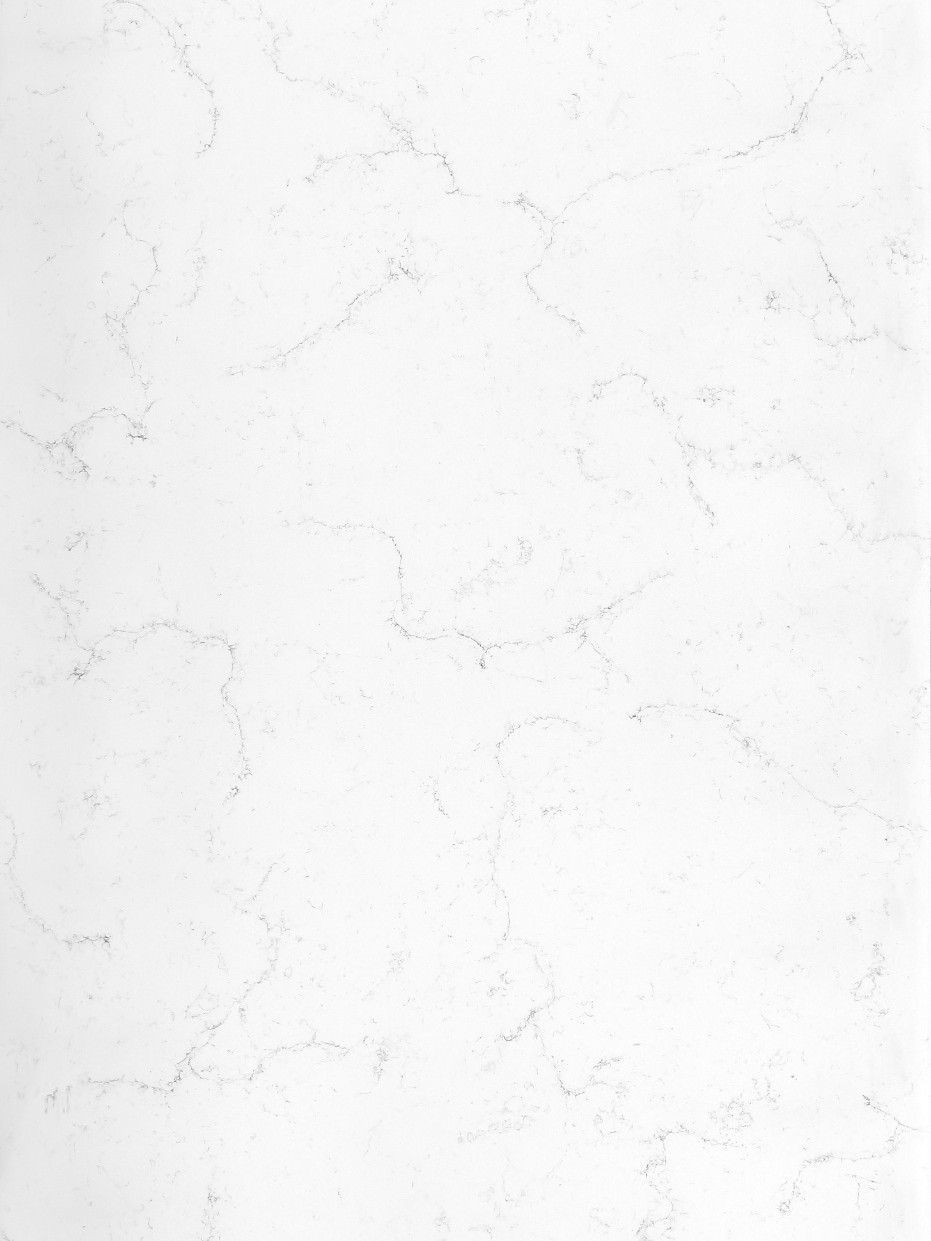 8071_Bianco_Venatino